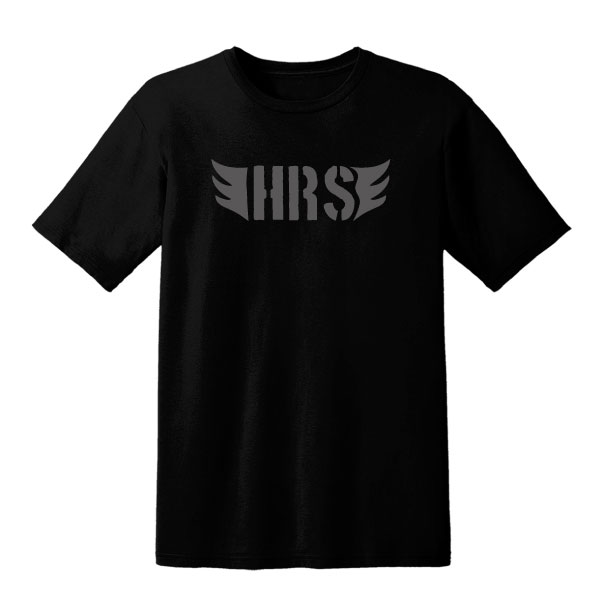 Tシャツ　天使の羽　翼　ロゴ