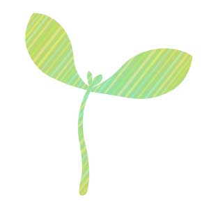 植物　イラスト　フリー　新芽　seeding free images plant