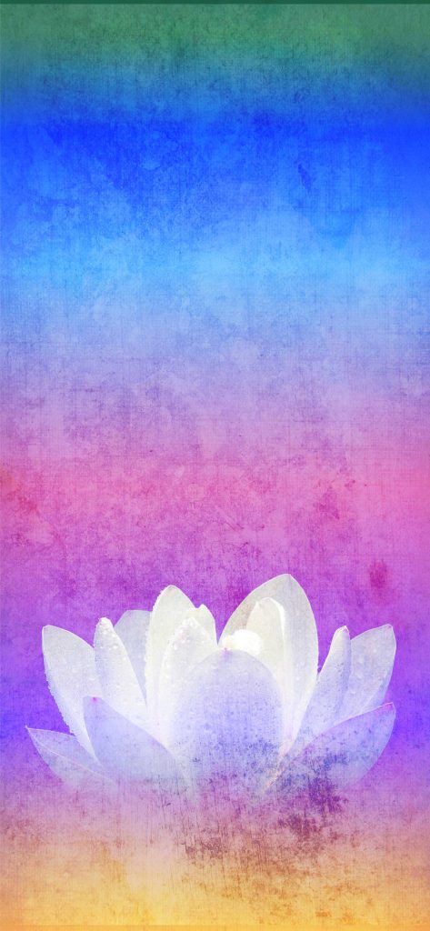 スマホ壁紙　蓮華　無料　おしゃれ　wallpaper background　