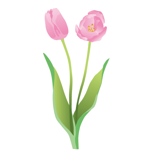 チューリップ　イラスト　フリー　花