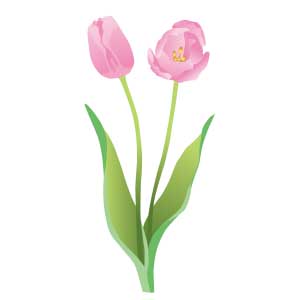 イラスト　フリー　花　チューリップ